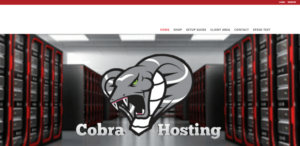 cobra media service website