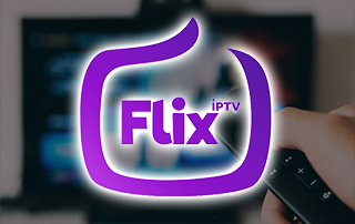 flix internet protocol television