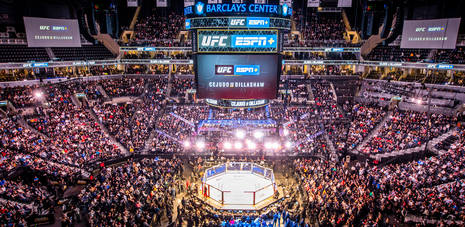 This article demonstrates How to Watch UFC 274 on Firestick, Android, or any streaming equipment.